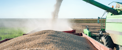 Capacitação de equipe ganha importância na secagem de sementes de soja