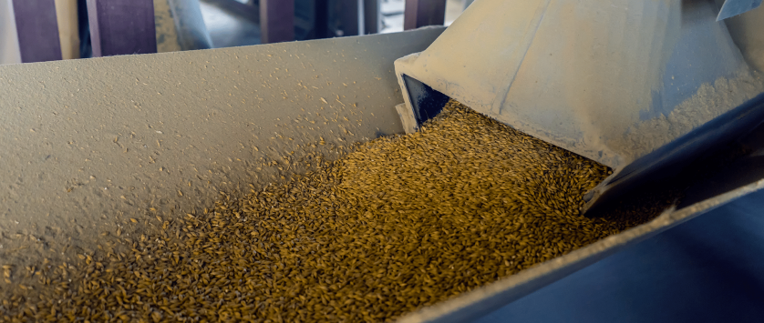 Avanços tecnológicos contribuem para a secagem de sementes de soja